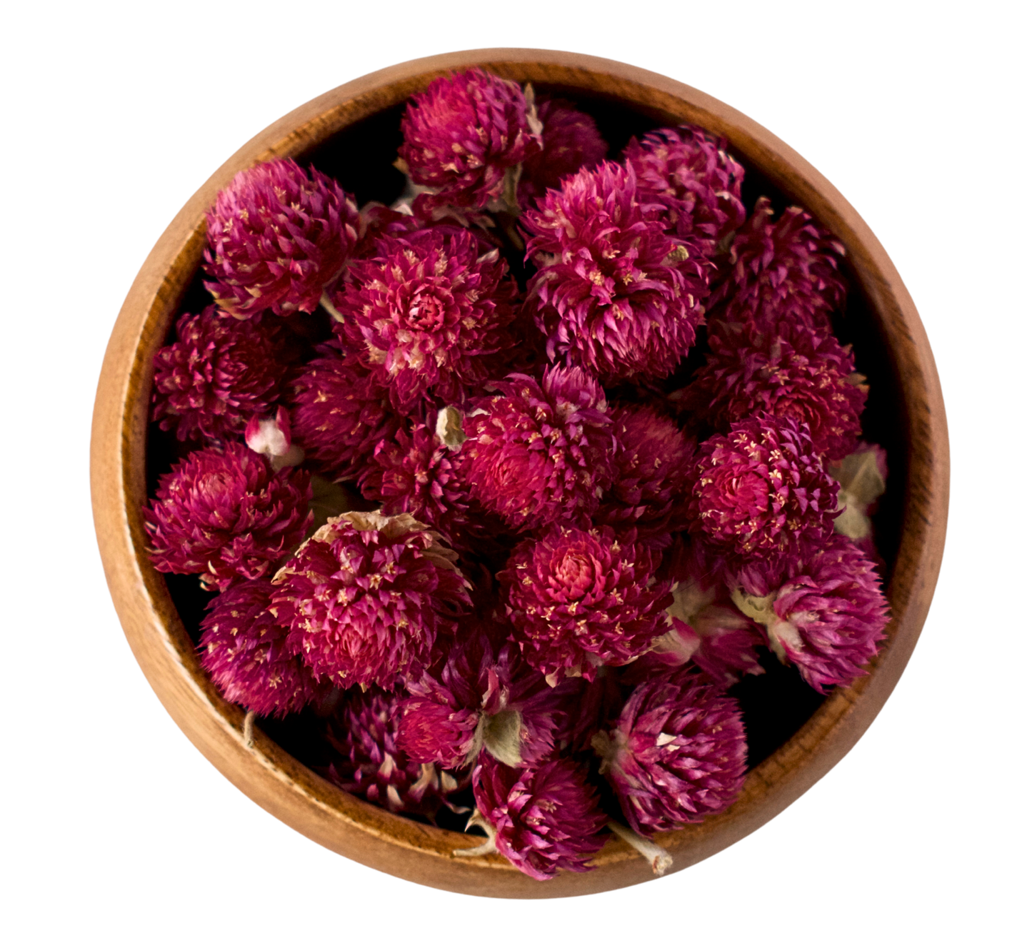 Purple Globe Amaranth Flower Tea - Antioxidant-Rich Throat Support & Respiratory Wellness