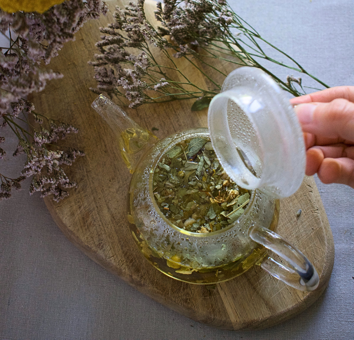 Verbena - Teas, drinks & magic – Verbena herbals